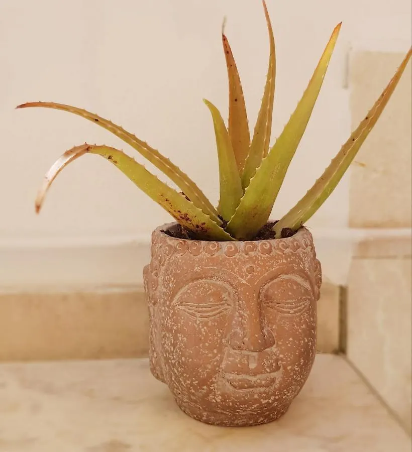 Estrelinha Da Fuzeta Apartment